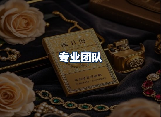 专业团队