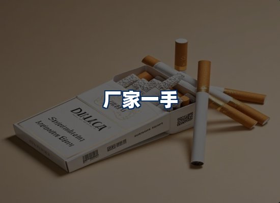 专业团队办公环境
